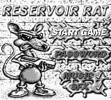 Rats!