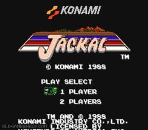 Jackal